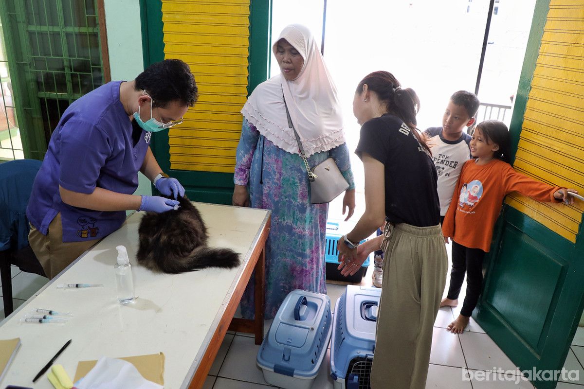 Jakarta Timur Terus Jaga Status Bebas Rabies Lewat Vaksinasi dan Sterilisasi