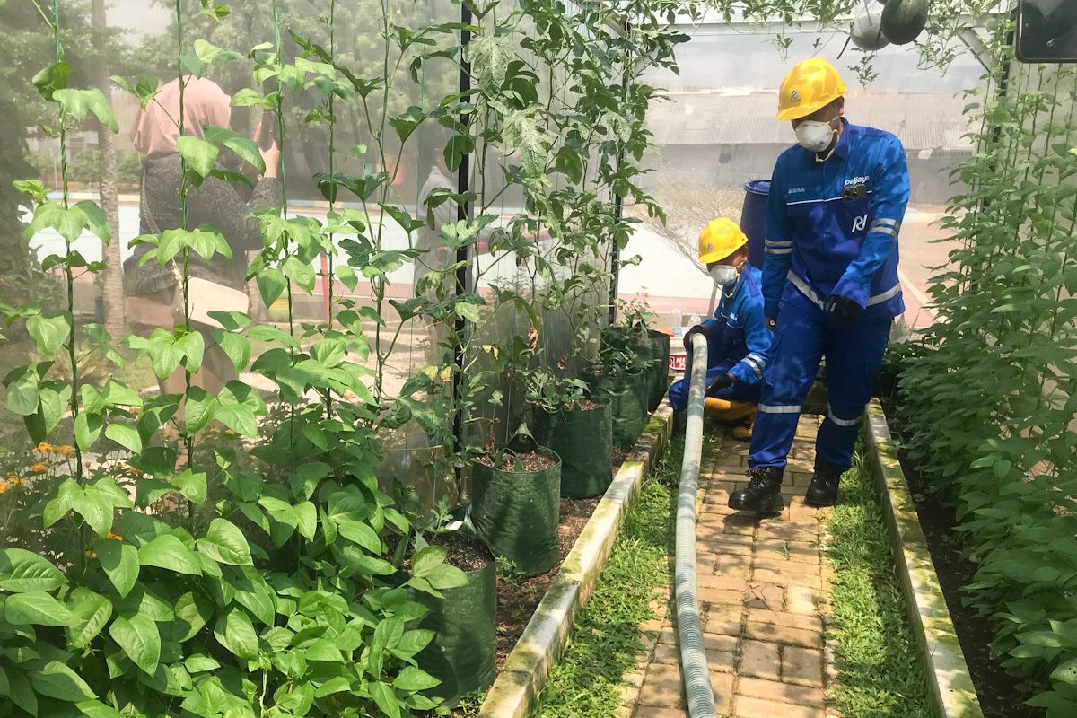 Peringati HUT ke-34, Paljaya Lakukan Sedot WC Gratis di Jakarta