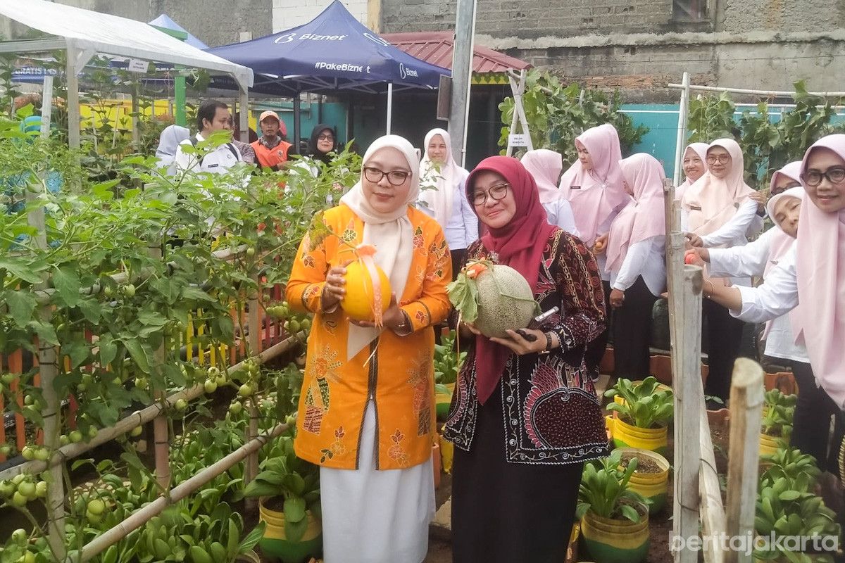 Panen Melon & Sayur Segar, Ketua TP PKK Jaktim Dukung Urban Farming di RPTRA Bunga Rampai