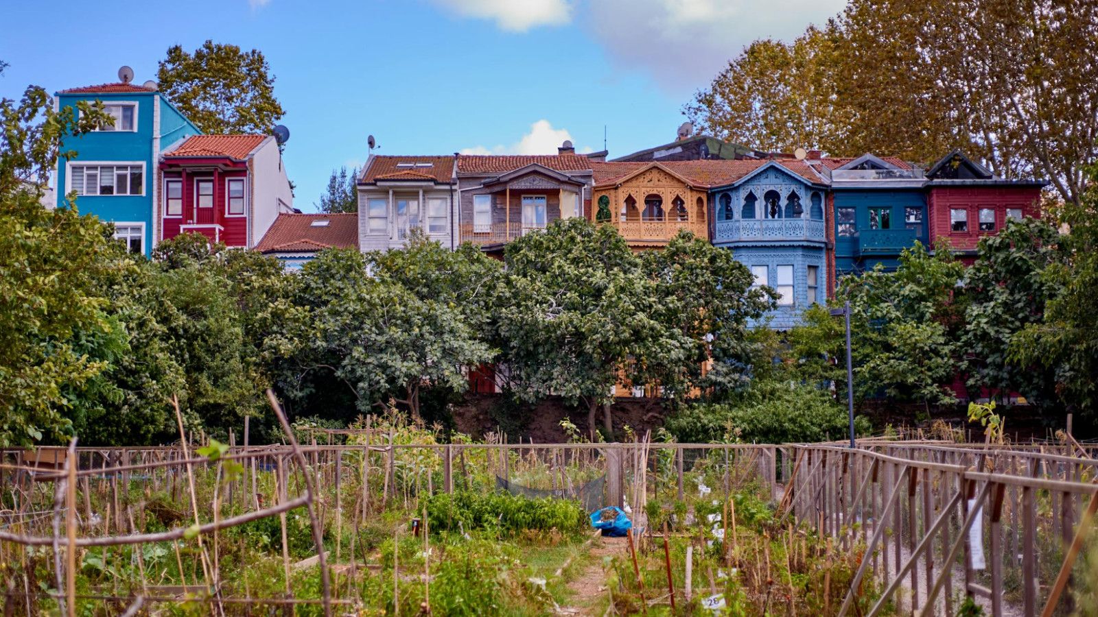 Urban Farming: Meningkatkan Ketahanan Pangan di Perkotaan Indonesia