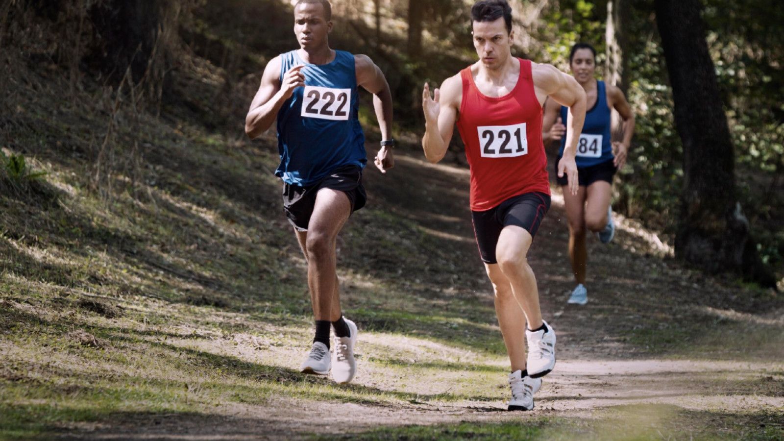 Panduan Menyusun Jadwal Latihan Marathon yang Efektif