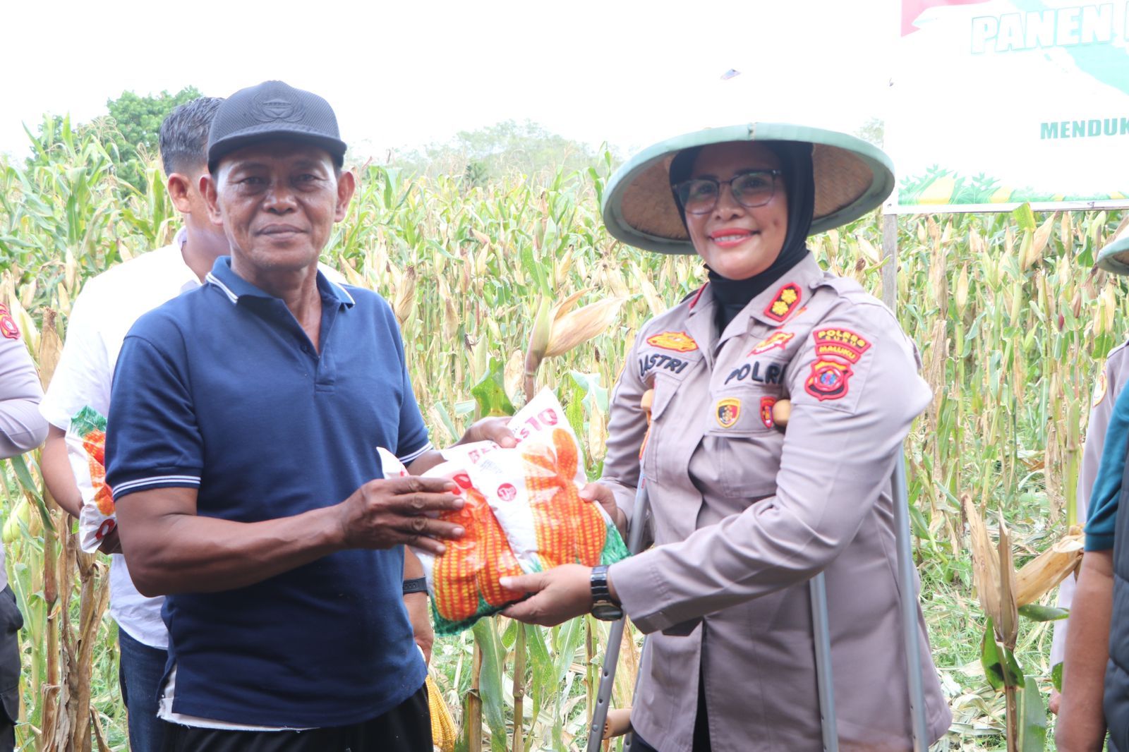 Polres Buru Sukses Panen Raya Jagung di Desa Waitina, Bulog Siap Serap Jagung Pipil dari Petani