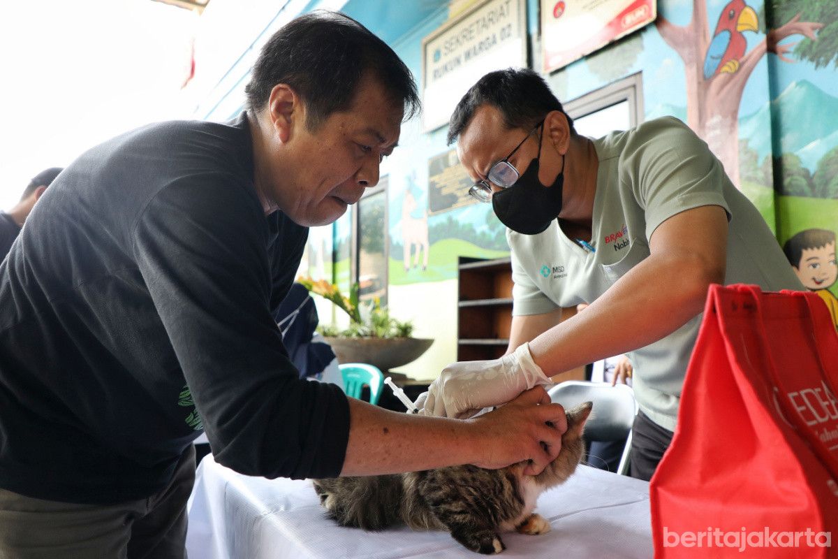 Lebih dari 3.500 Hewan di Jakpus Sudah Divaksin Rabies, Target Capai 5.800 Ekor