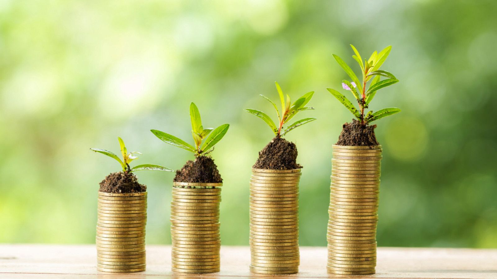 Investasi Rutin Bulanan: Kunci untuk Keamanan Finansial Jangka Panjang