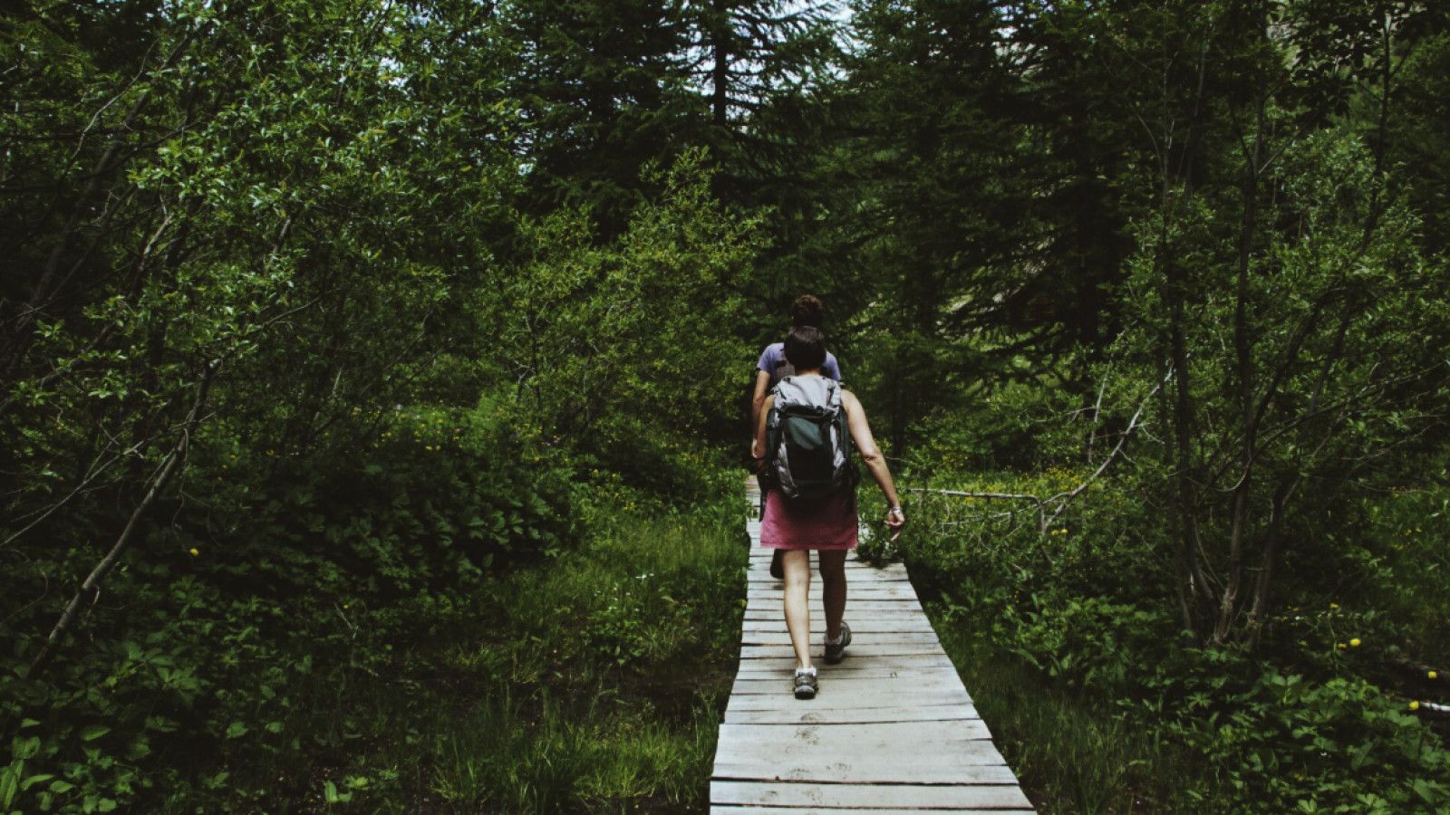 Forest Therapy: Meningkatkan Kesehatan Mental Melalui Alam di Indonesia
