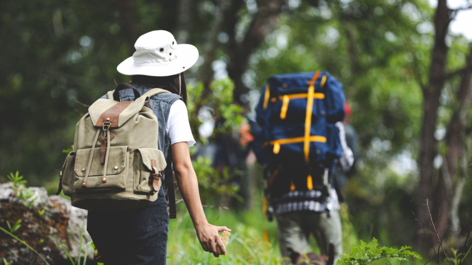 Hiking: Olahraga Sehat yang Mempererat Persahabatan di Alam Indonesia