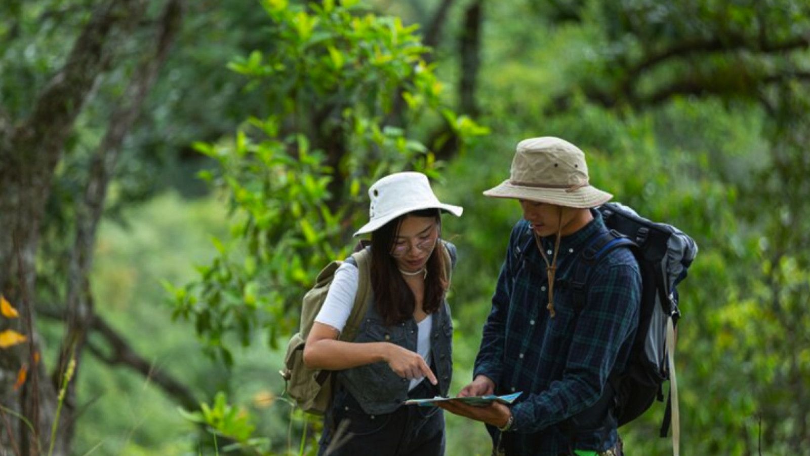 Eco Tourism: Pilihan Cerdas untuk Wisata Berkelanjutan di Indonesia