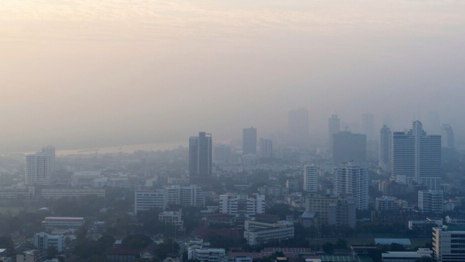 Polusi Udara: Ancaman Serius bagi Kesehatan Masyarakat di Kota Besar