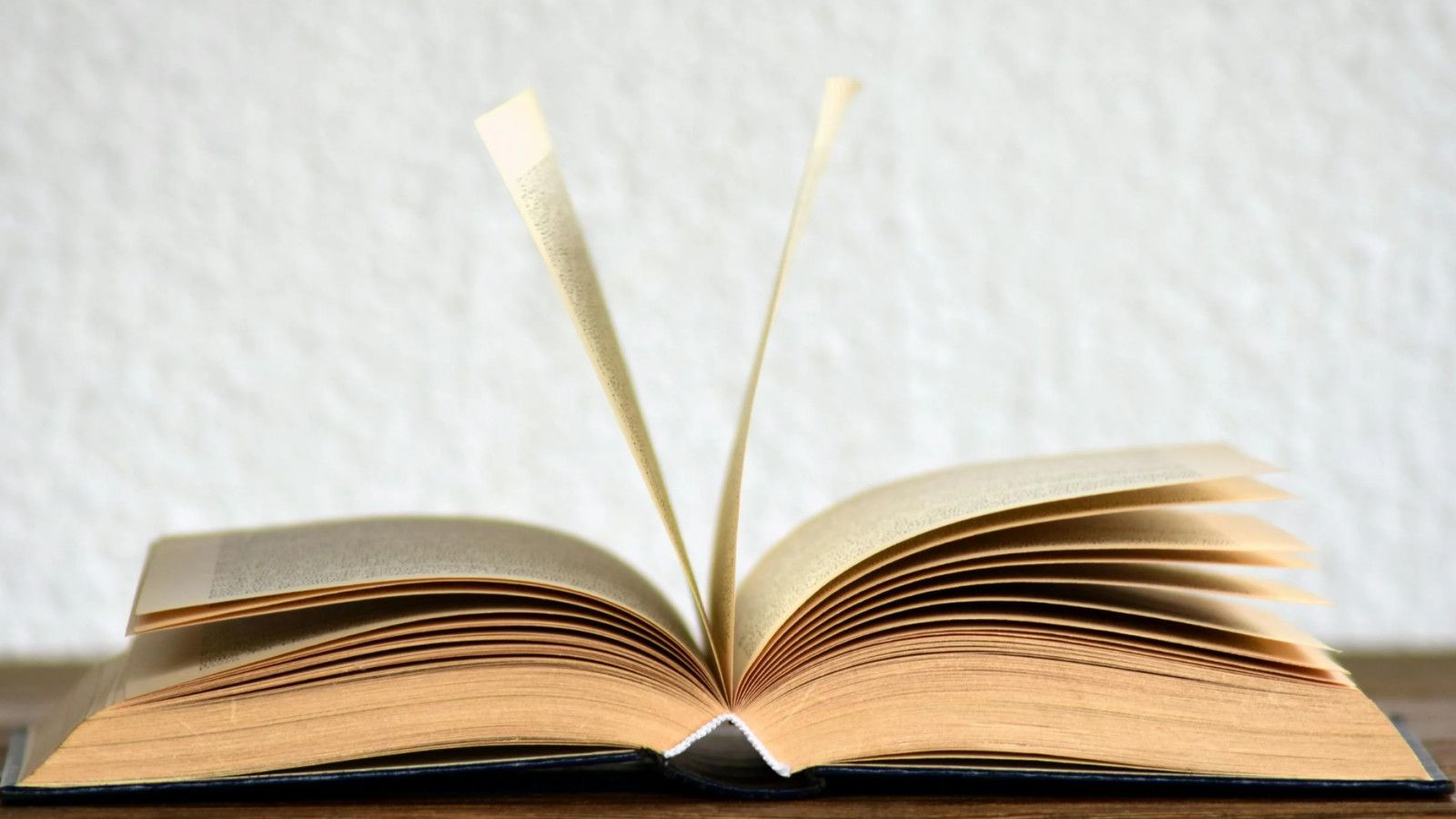 Menggali Manfaat Membaca Buku: Dari Kesehatan Mental hingga Empati