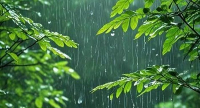 Kalimantan Selatan Siaga Hadapi Musim Hujan yang Datang Lebih Awal
