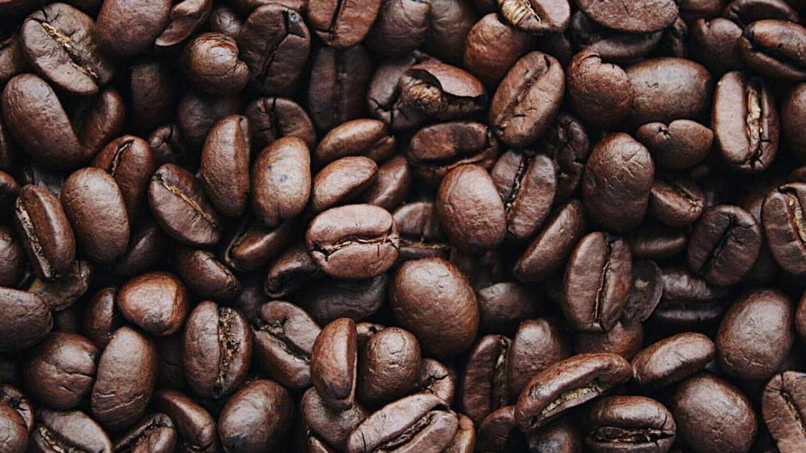 Sejarah dan Perkembangan Kopi: Dari Ethiopia ke Komoditas Global