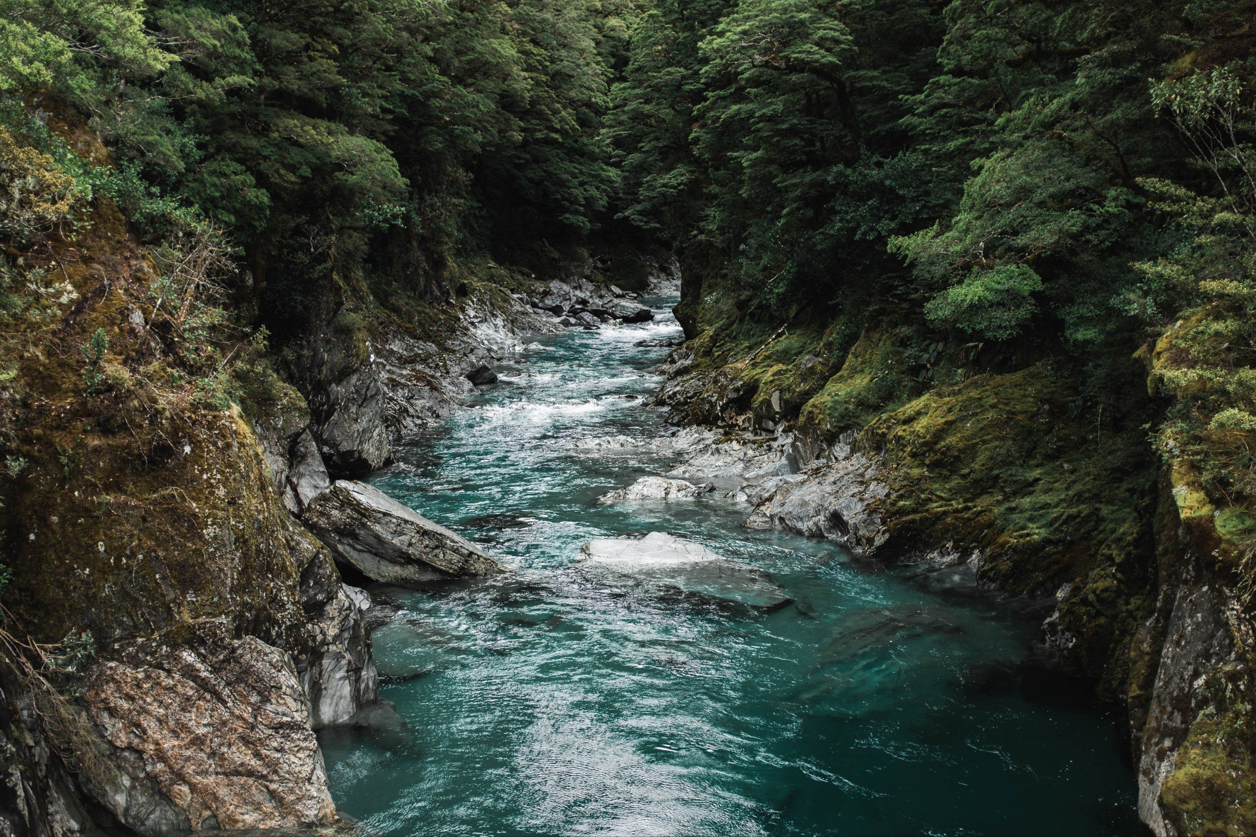 5 Arti Mimpi Jatuh Ke Sungai Menurut Primbon Jawa, Pertanda Apa Ya?