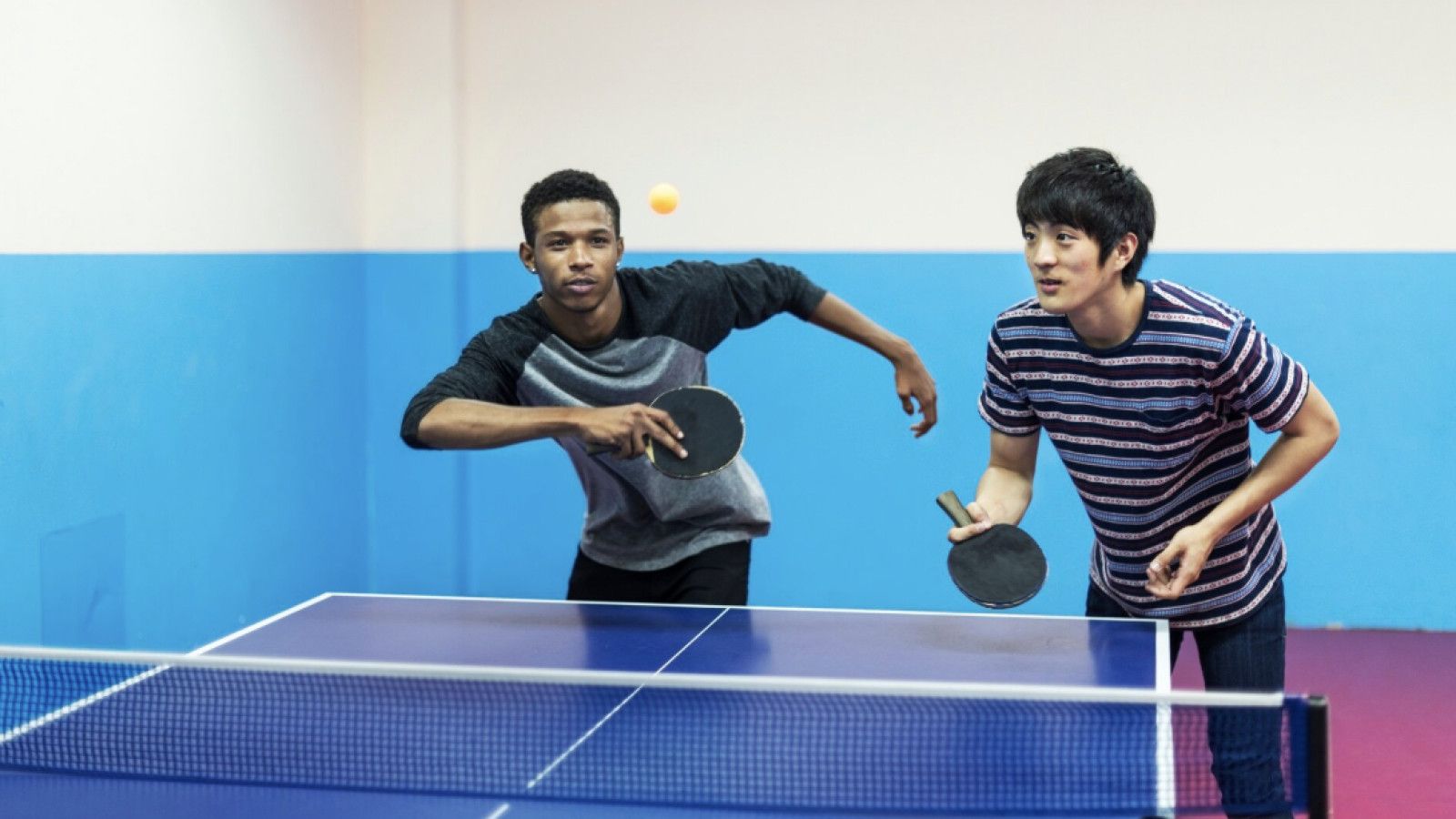 Perbandingan Mendalam Antara Tenis Lapangan dan Tenis Meja di Indonesia
