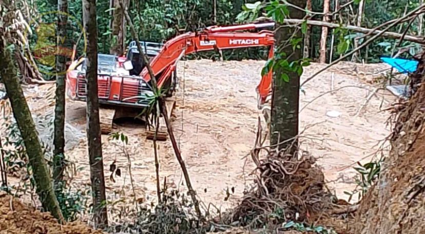 Ultimatum Gubernur Aceh Diabaikan, Excavator Tambang Masih Gali Hutan Gayo Lues
