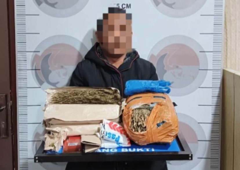 Petani di Bener Meriah Terciduk Simpan 3 Kg Ganja di Rumahnya