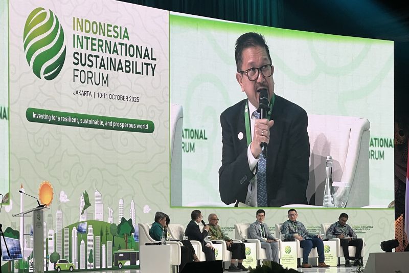 Freeport Indonesia Berencana Ganti PLTU Captive dengan LNG