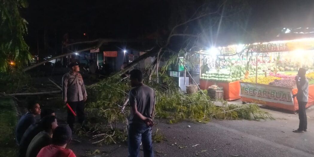 Pohon Tua Tumbang Timpa Warkop, Lalu Lintas Sempat Macet