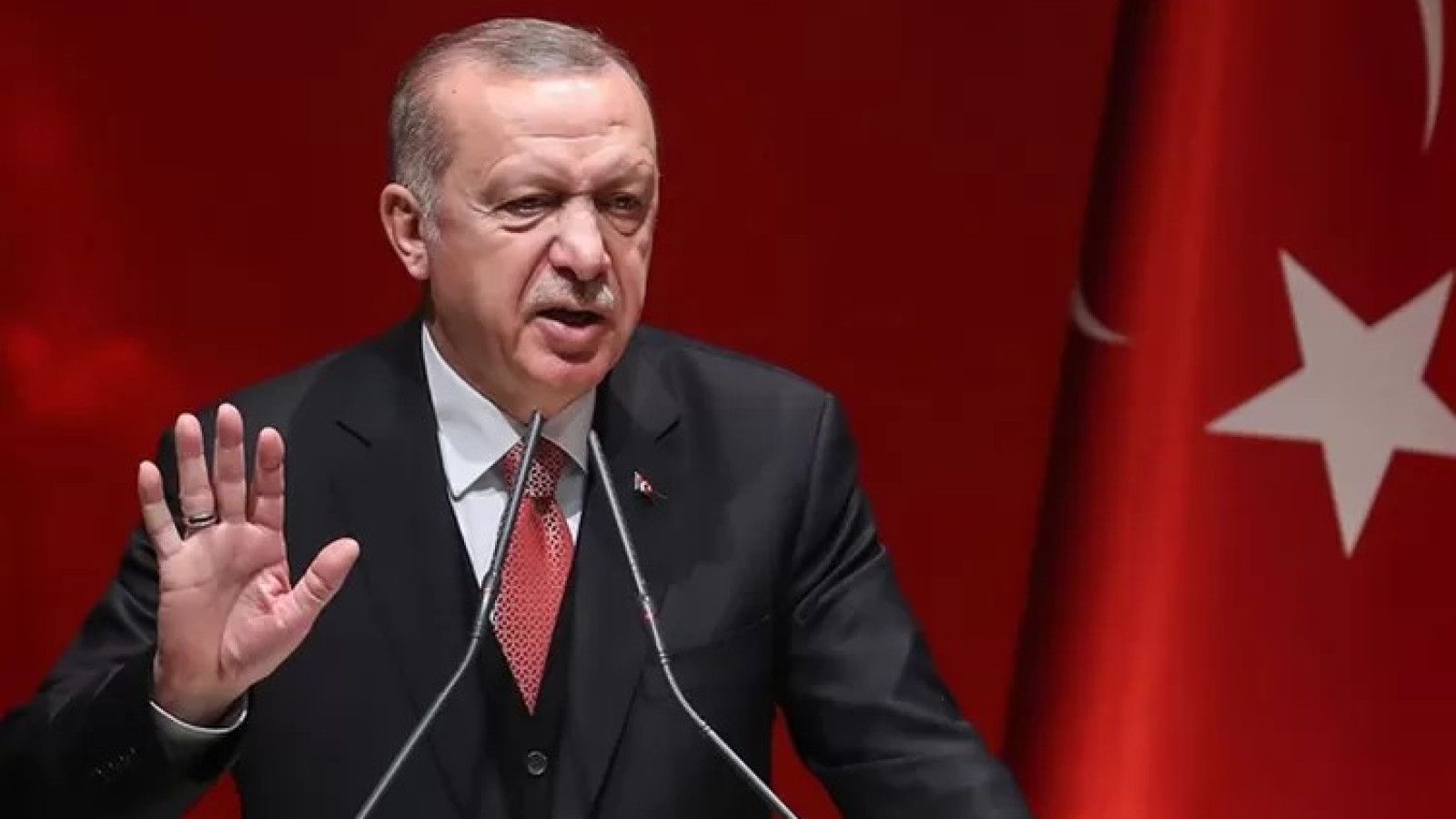 Erdogan Serukan Pembentukan Negara Palestina yang Merdeka