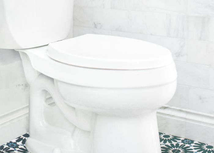 5 Alasan Toilet Bus Hanya Boleh Dipakai saat Kendaraan Melaju