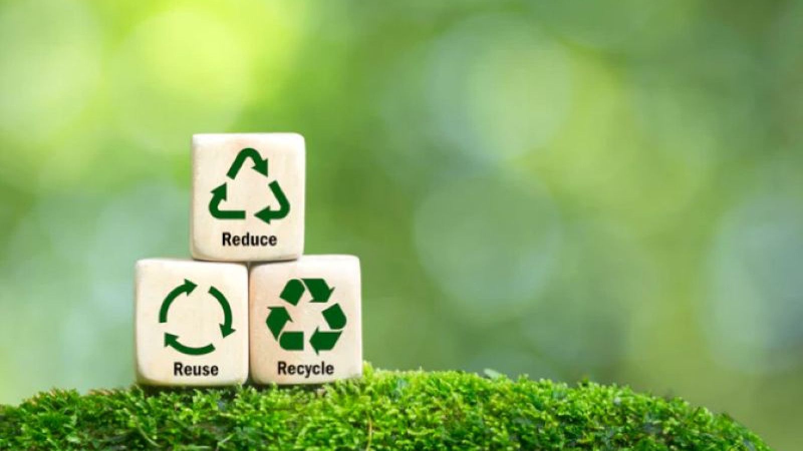 Menerapkan Gaya Hidup Eco-Friendly untuk Lingkungan yang Lebih Baik
