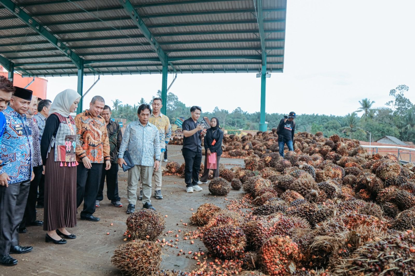 Pabrik Kelapa Sawit Beroperasi di Lampung Timur, Pemprov Dorong Penyerapan Tenaga Kerja dan Perkuat Perekonomian Daerah