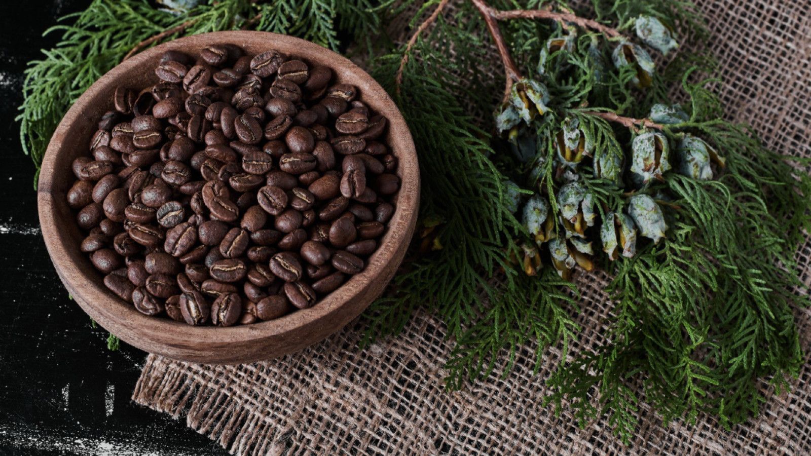 Kopi Luwak: Keunikan dan Tantangan dalam Produksinya