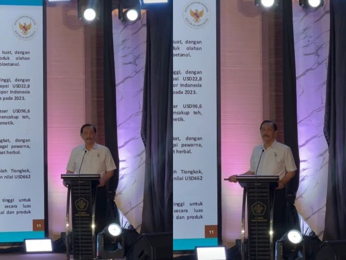 Lewat GovTech, Luhut Yakin Ekonomi Indonesia di Bawah Kepemimpinan Prabowo-Gibran Bisa Tumbuh 8 Persen