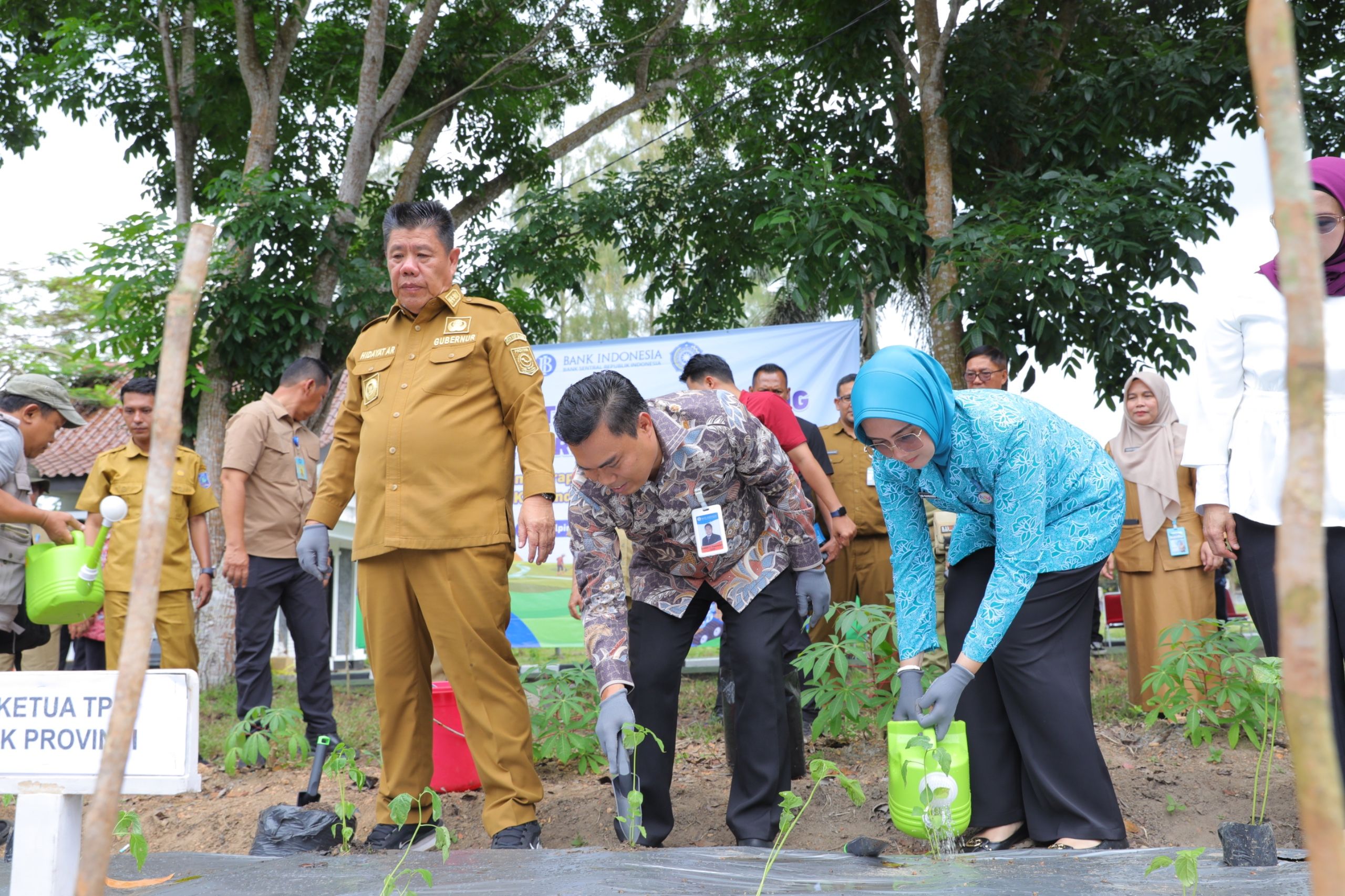 Gubernur Hidayat Arsani Launching Inovasi Digital Farming di Kebun Cikar PKK Babel