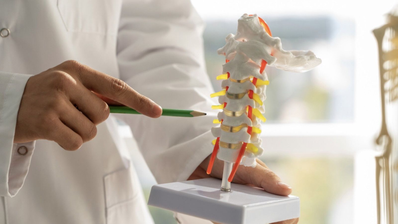 Memahami Spondilitis: Gejala, Penyebab, dan Perawatan