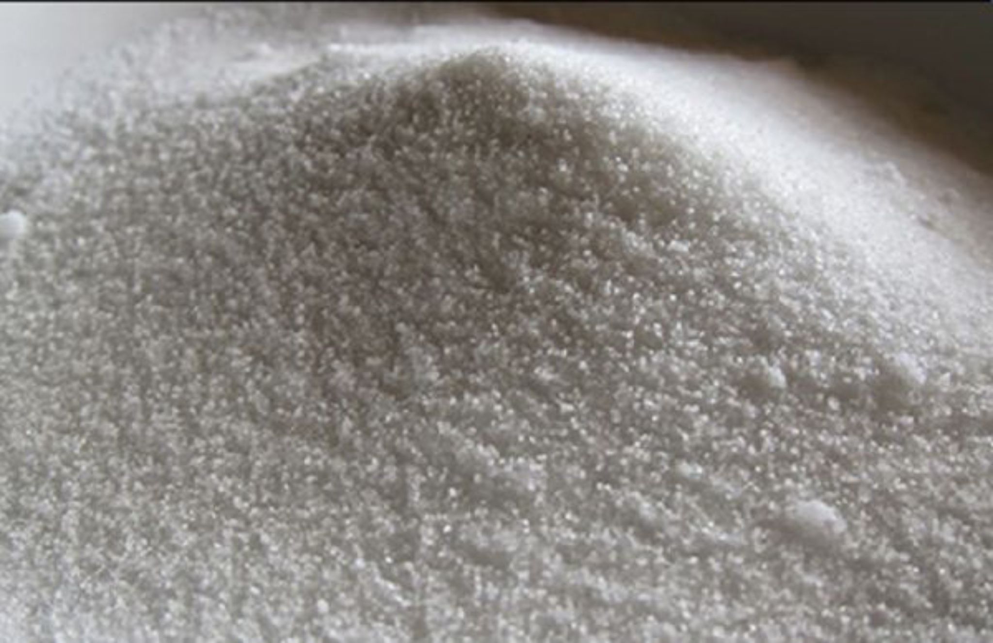 Investor Global Serbu Mahakam Investment Forum 2025: Bontang Curi Perhatian dengan Proyek Soda Ash, Filipina dan Pakistan Tunjukkan Minat Serius