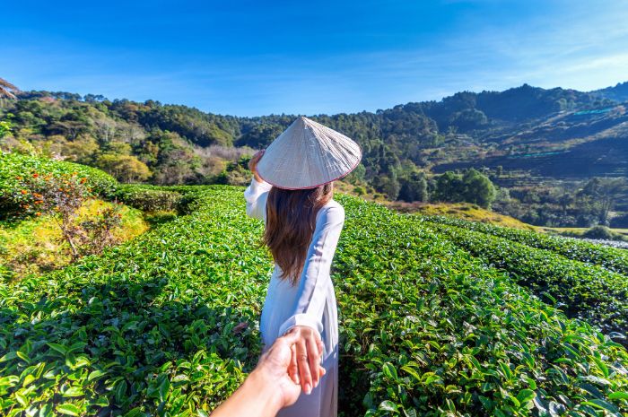 111 Caption Bahasa Inggris tentang Kebun Teh, Lucu Romantis!
