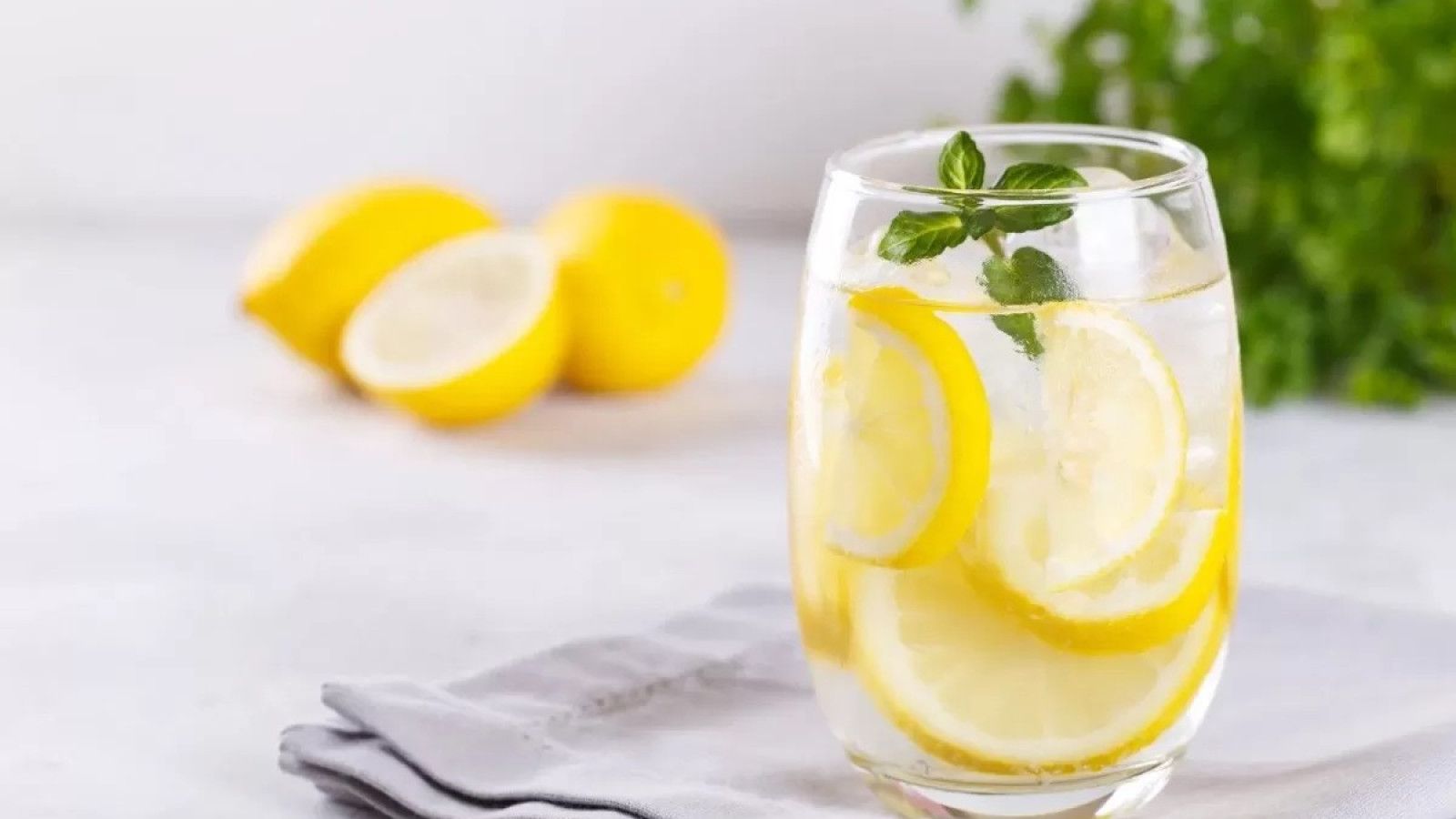 Air Putih vs. Infused Water: Mana yang Lebih Baik untuk Kesehatan?