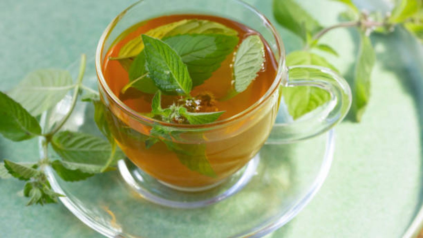 Menikmati Beragam Manfaat Teh Herbal untuk Kesehatan