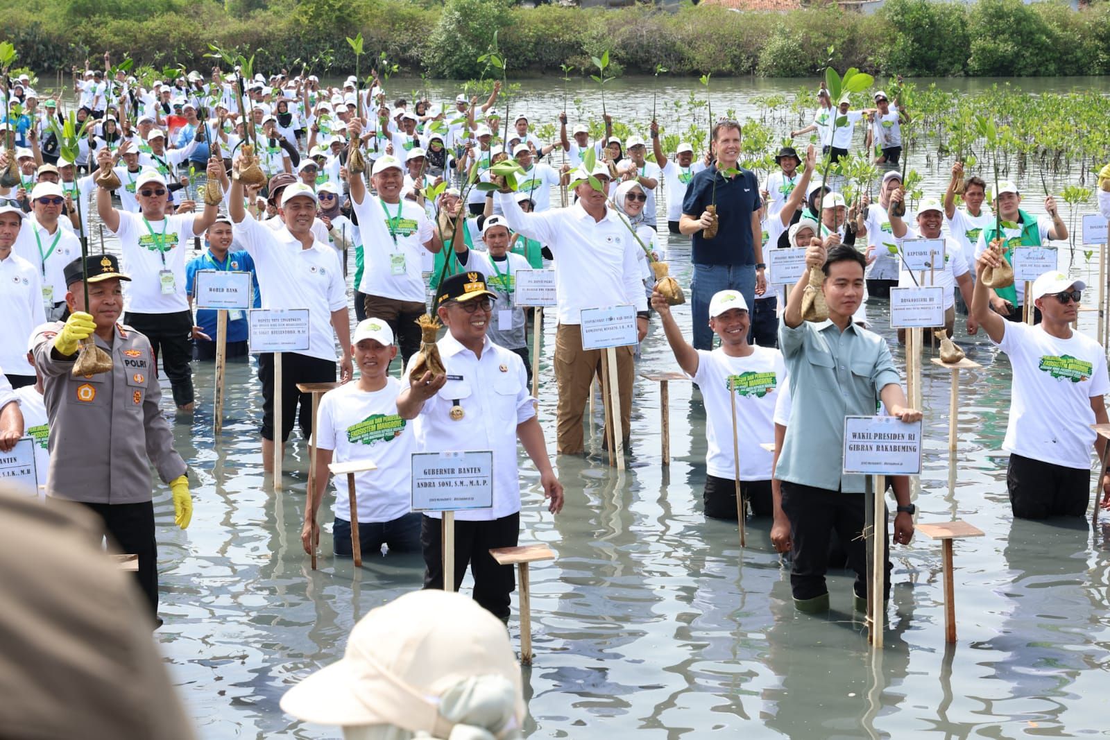 Wapres Gibran Lakukan Penanaman Mangrove di Pesisir Mauk Kab.Tangerang