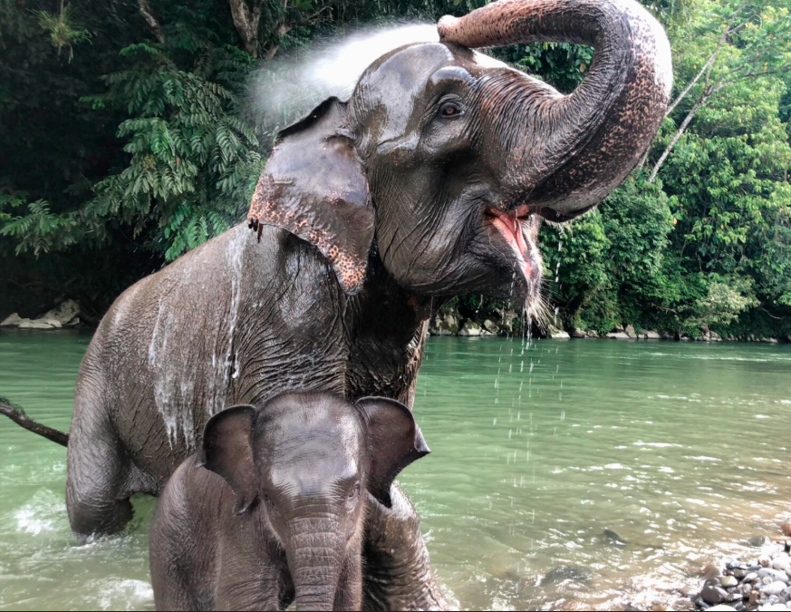 Jarang Diketahui, 5 Destinasi Wisata di Sumatera Utara untuk Liburan Singkat