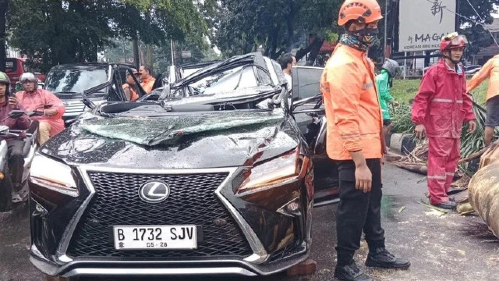 Kecelakaan Tragis di Pondok Indah: Pengemudi Tewas Tertimpa Pohon Tumbang