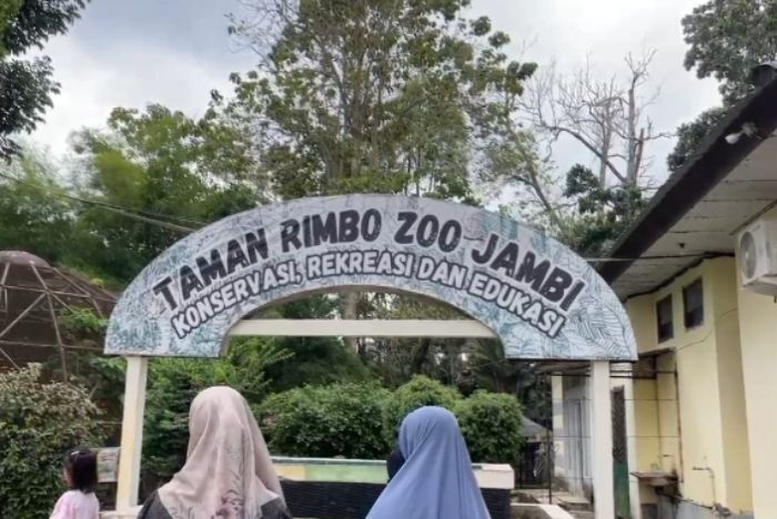 Target PAD Taman Rimba Jambi Capai Rp2 Miliar, Kehadiran Harimau dan Singa Putih Jadi Daya Tarik Baru