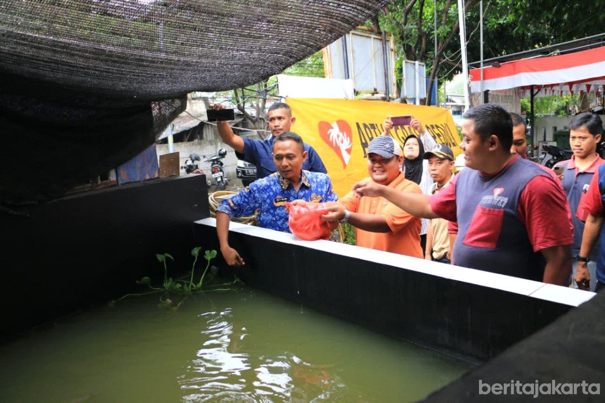 Warga RW 11 Sunter Jaya Terima Bantuan Kolam Ikan Lele untuk Ketahanan Pangan