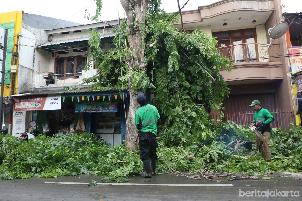 DPRD DKI Minta Dinas Tamhut Perketat Pemeliharaan Pohon dan Pemerataan Taman