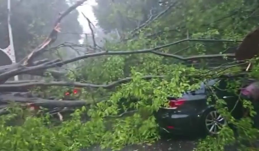 Pohon Tumbang di Dharmawangsa Jaksel: 5 Mobil Tertimpa, 1 Orang Tewas!