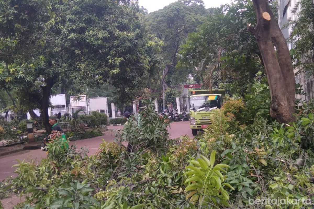 104 Pohon Dipangkas di Enam Venue POPNAS dan PEPARPENAS Jakarta Timur