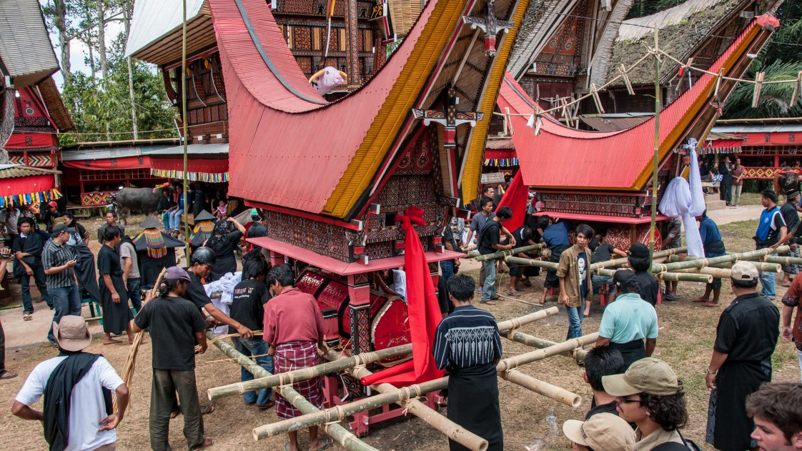 Kritik Tajam Terhadap Pandji Pragiwaksono: Budaya Toraja dalam Sorotan