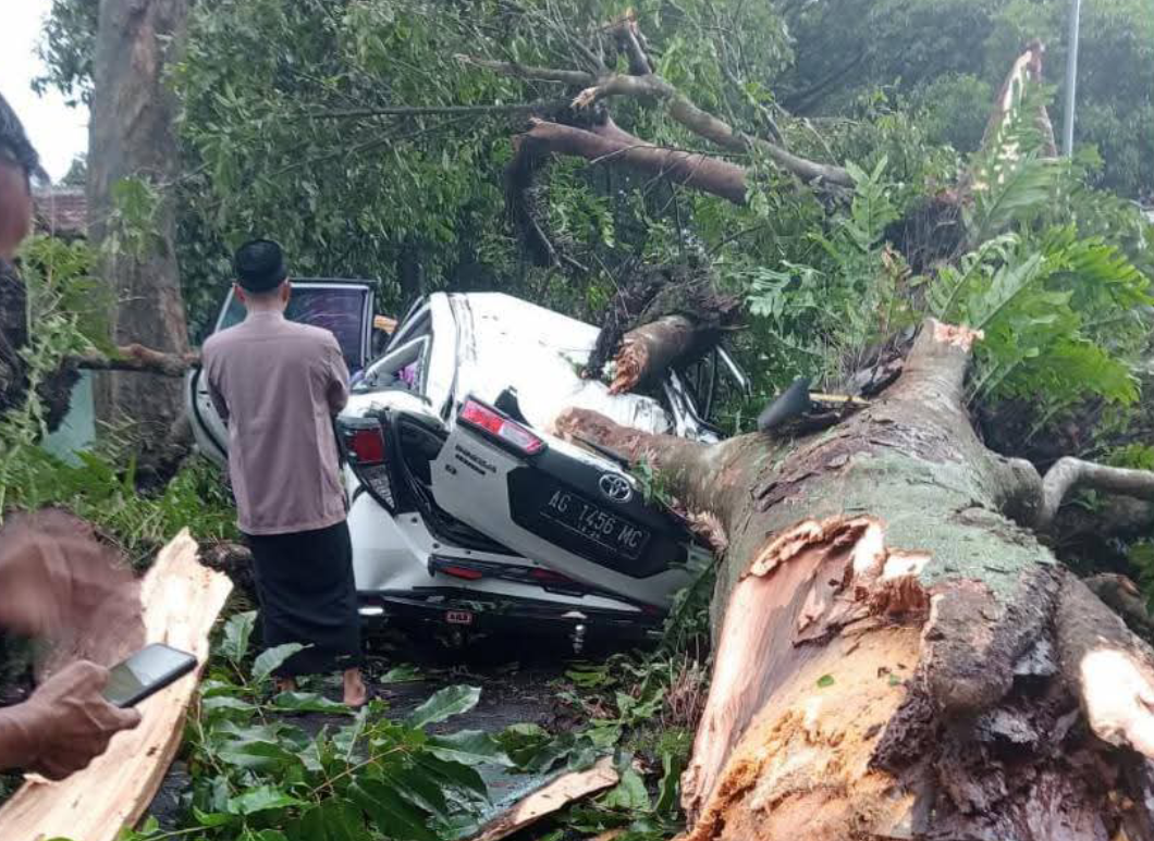 Hujan Deras dan Angin Kencang Sebabkan Pohon Tumbang di Kota Malang