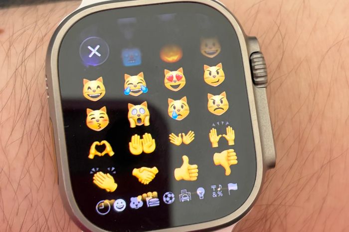 WhatsApp Resmi Hadir di Apple Watch, Bisa Chat dan Balas Pesan Langsung Tanpa Buka HP