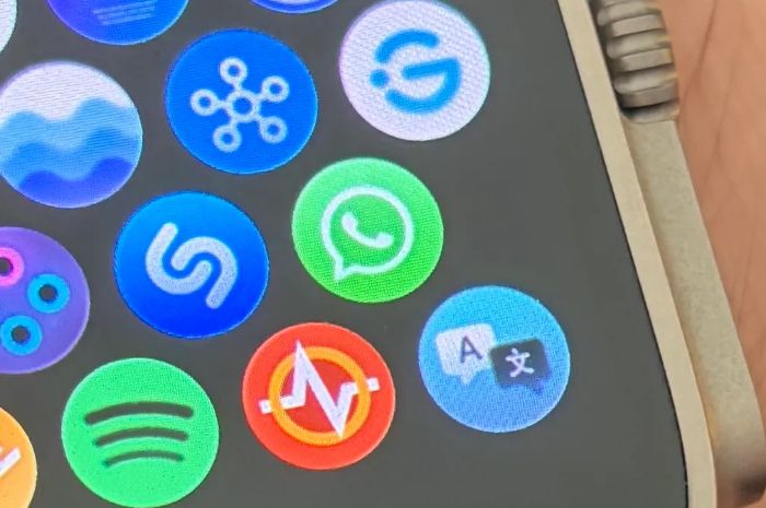 WhatsApp Resmi Hadir di Apple Watch, Bisa Chat dan Balas Pesan Langsung Tanpa Buka HP