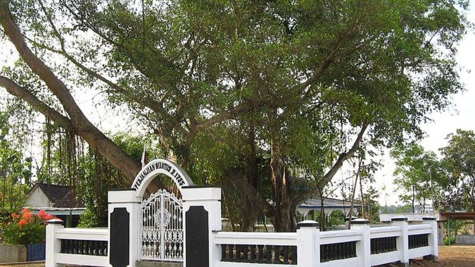 Pengukuhan Paku Buwono XIV: Sejarah Baru Kasunanan Surakarta