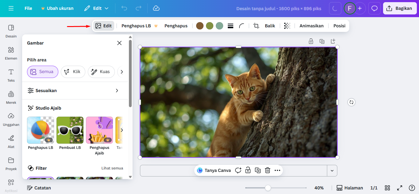 Cara Pakai Canva AI Magic Edit untuk Ubah Foto Secara Instan dan Profesional
