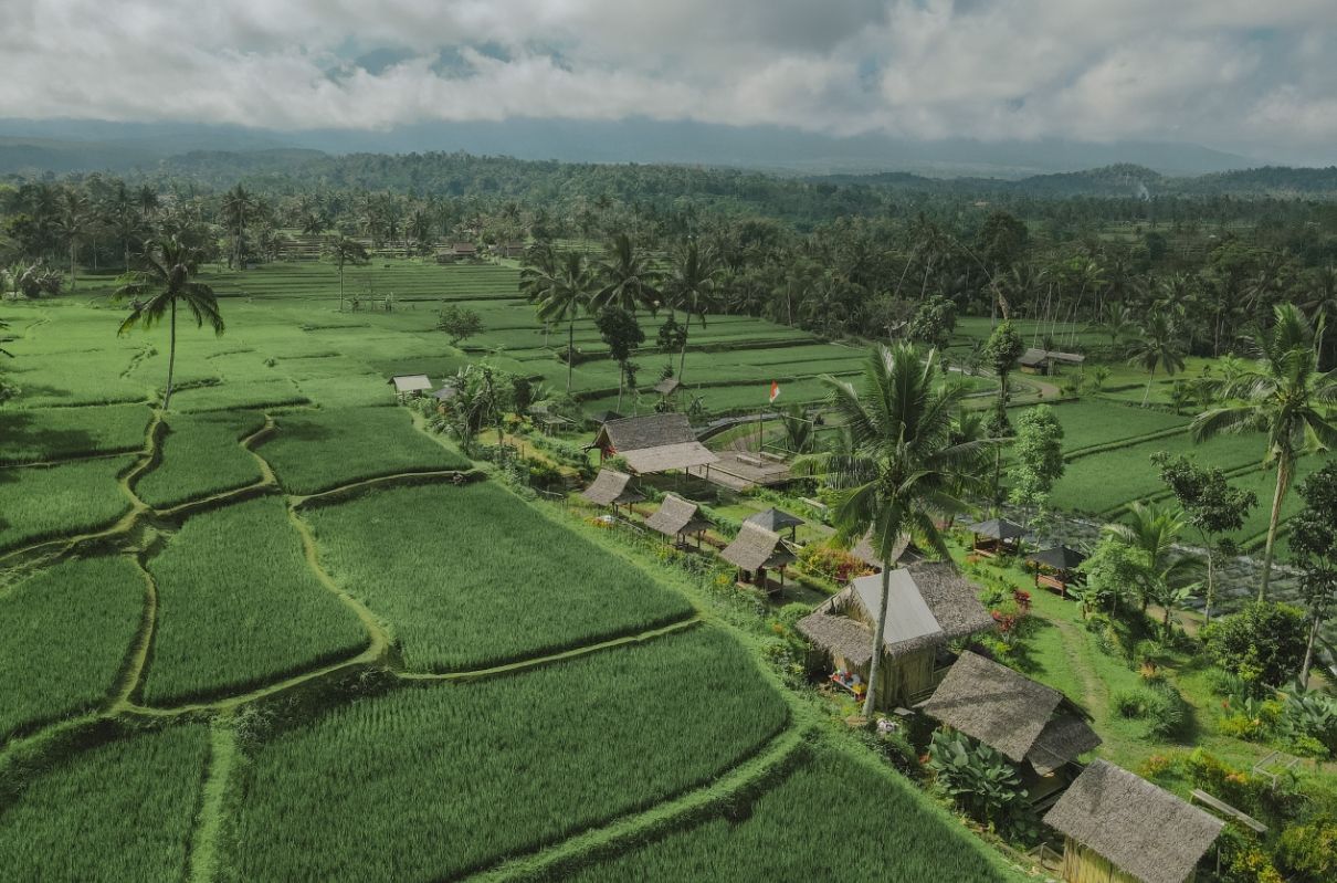 Menyusuri Ijen Golden Route, Sensasi Menemukan Surga Tersembunyi Banyuwangi di Kaki Gunung Ijen
