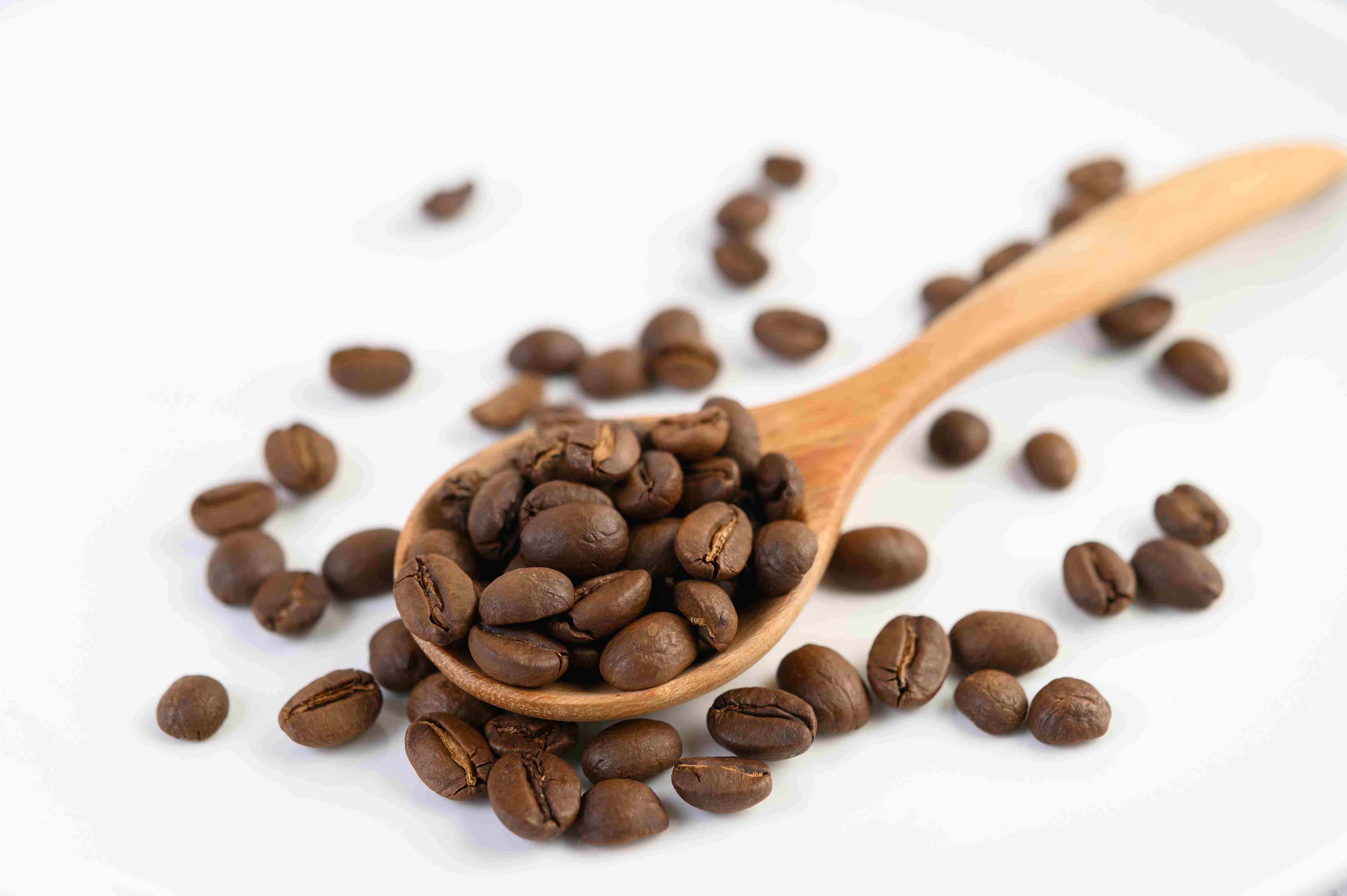 Kopi Sultra Mulai Wangi di Kancah Nasional