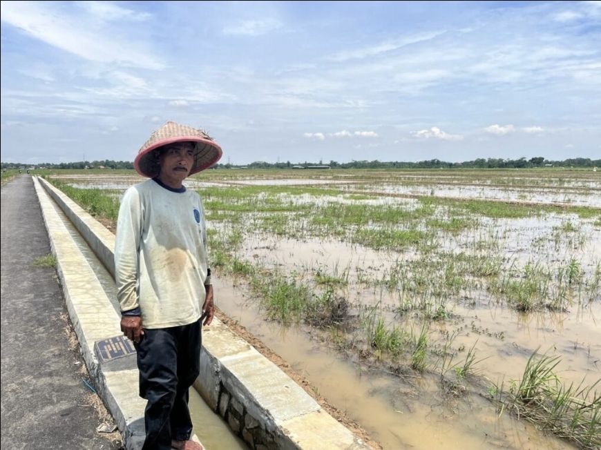 Air Mengalir hingga Desa Sebelah: Irigasi Baru Bawa Harapan bagi Petani Pekalongan